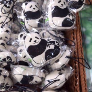 上野動物園オリジナルパンダグッズ。新商品はＴシャツとマスコット！30/100blogs